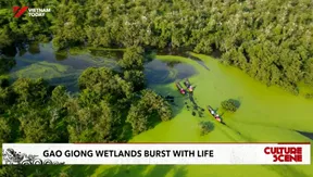 Gao Giong wetlands burst with life