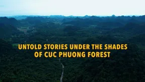Untold stories under the shades of Cuc Phuong forest - Discovery