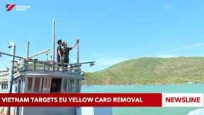 Vietnam targets EU yellow card removal