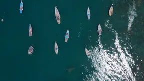 Cham Island: A land of rich culture - Discovery