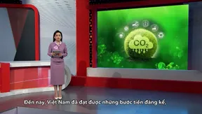 The Point 2: Global carbon markets - 09.11.2025