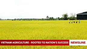 Vietnam agriculture – rooted to nation’s success
