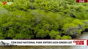 Con Dao National Park enters IUCN green list