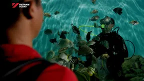 China Link | 03.12.2025