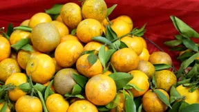 Bac Ninh fruit festival 2025