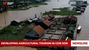 Developing agricultural tourism in Con Son