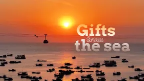 Gifts from the sea | Local Towards Global