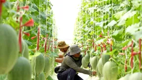 Boosting sustainable farming in dry regions