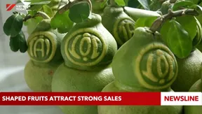 Shaped fruits attract strong sales