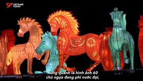 Beyond the Gallop | Insights