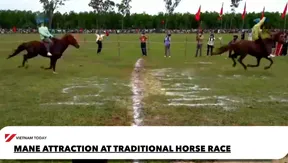 Mane attraction at traditional horse race