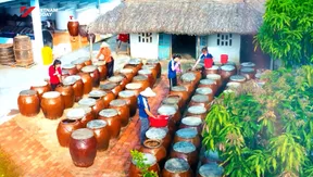Modern Technology Revitalises Traditional Fish Sauce | Vibes of Vietnam