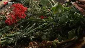 Lào Cai promotes potential of Medicinal Plants and Traditional Medicine Wisdom | Vibes of Vietnam