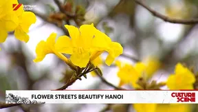 Flower streets beautify Hà Nội