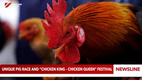 Unique pig race and “Chicken King – Chicken Queen” Festival