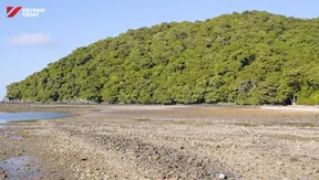 Enchanted by Côn Đảo | Vibes of Vietnam