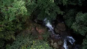 The biodiversity treasure of Vũ Quang National Park | Vibes of Vietnam