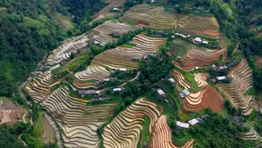 Developing tourism hand-in-hand with the environment | Vibes of Vietnam