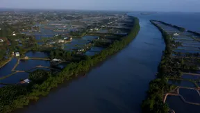 Nature-harmony tourism | Vibes of Vietnam