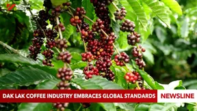 Đắk Lắk coffee industry embraces global standards