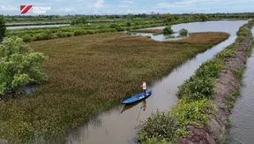 Land of Năn Tượng Grass | VIBES OF VIETNAM