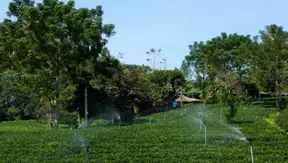 How the EU’s Global Gateway initiative is reshaping investment flows into Vietnam | Bizline