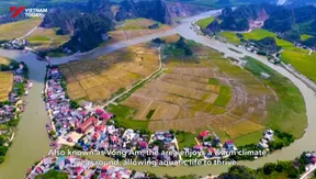 Life rhythms in the floodplain | Vibes of Vietnam