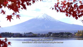 Japan Link - 09.04.2026