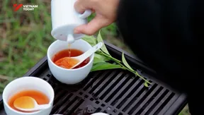 Việt Nam tea finds value in experiences