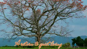 A return to quiet living | The Lens