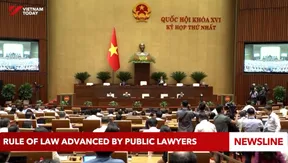 Rule of law advanced by public lawyers