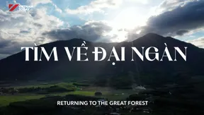 Returning to the great forest | Vibes of Vietnam
