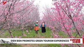 Điện Biên promotes green tourism experiences