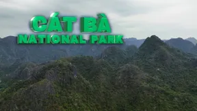 Cát Bà National Park - where life holds on | Heritage Journey