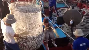 Đà Nẵng’s tech-driven fight against illegal fishing