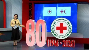 The Point 1: Việt Nam Red Cross: 80 years of humanity and compassion | 06.05.2026