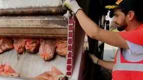 Brussels shapes green future through waste sorting