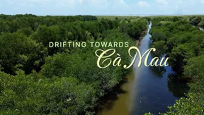 Drifting towards Cà Mau | Vibes of Vietnam