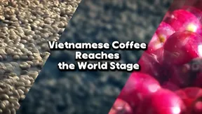 Vietnamese coffee reaches the world stage | Vibes of Vietnam