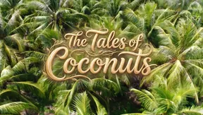 The Tales of Coconuts | Vibes of Vietnam