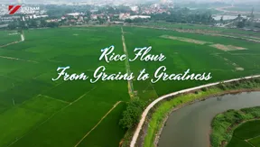 Rice Flour - From Grains to Greatness | Flavours and Beyond