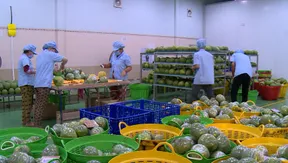 China Link | 20.05.2026