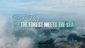 Cát Bà - Where the forest meets the sea | Heritage Journey