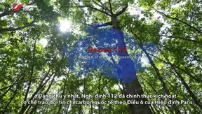 Việt Nam seeks to capitalise on carbon market opportunities | Bizline