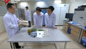 Overseas experts back Việt Nam’s innovation vision