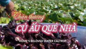 Home’s Beloved Water Caltrop | Vibes of Vietnam