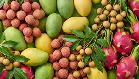 Taste of Mekong Delta in Hồ Chí Minh City