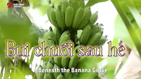 Beneath the Banana Grove | Vibes of Vietnam