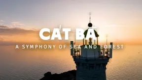 Cát Bà – A Symphony of Sea and Forest | Vibes of Vietnam