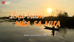 Rainy Season Eel Traps | Vibes of Vietnam